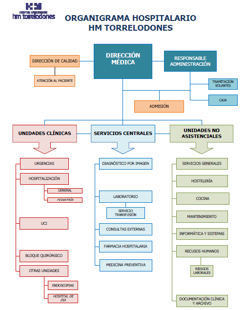 organigrama de hm torrelodones